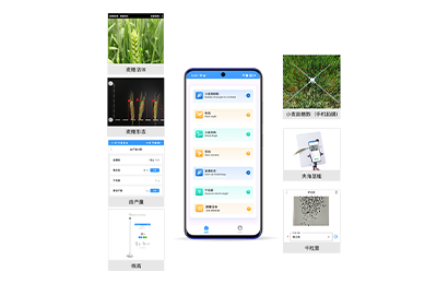 淮南市小麦表型检测仪IN-XM04